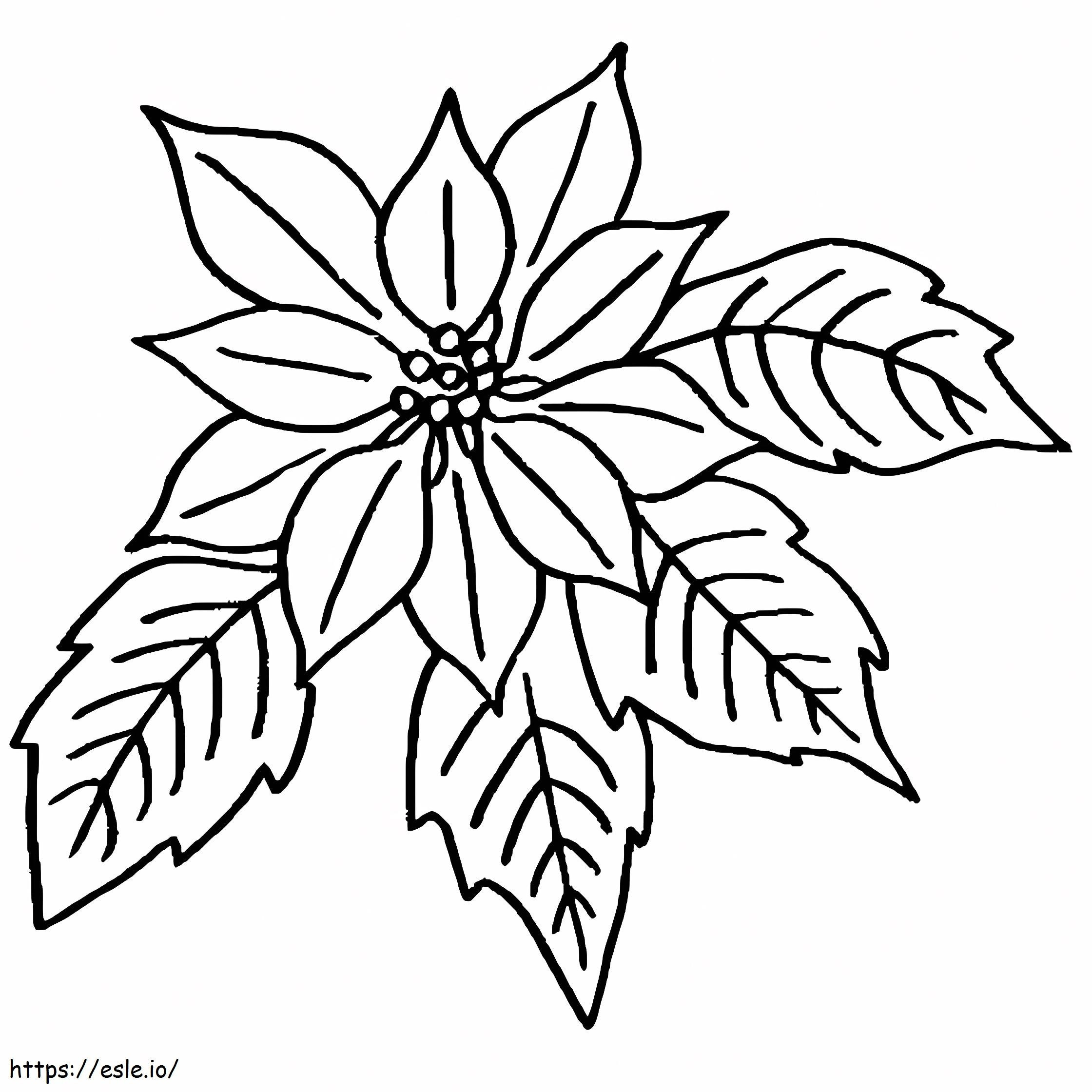 Poinsettia Flower And Leaves coloring page