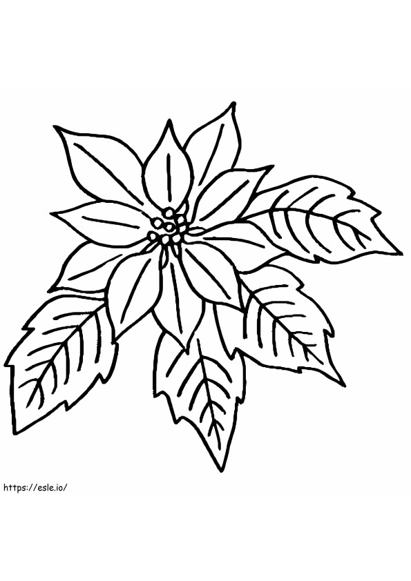 Poinsettia Flower And Leaves coloring page
