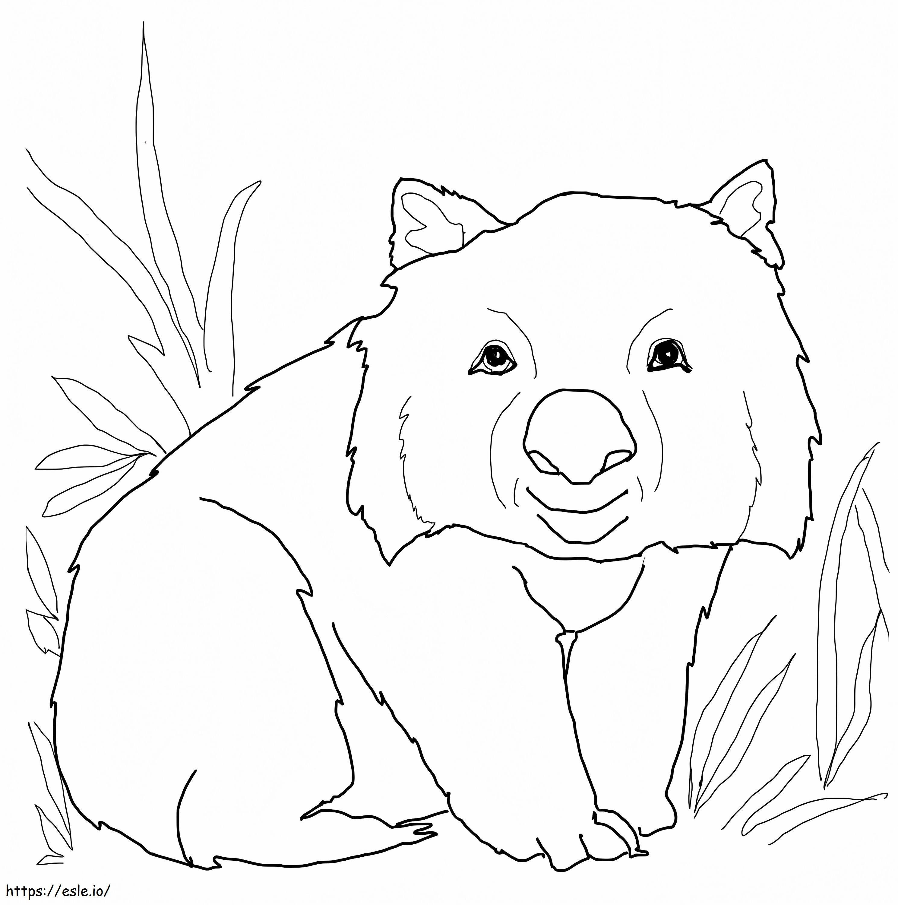 Feliz wombat para colorear