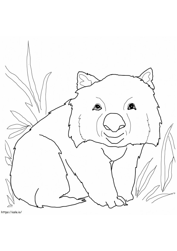 Szczęśliwy Wombat kolorowanka