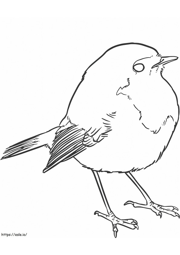 Cute Sparrow coloring page