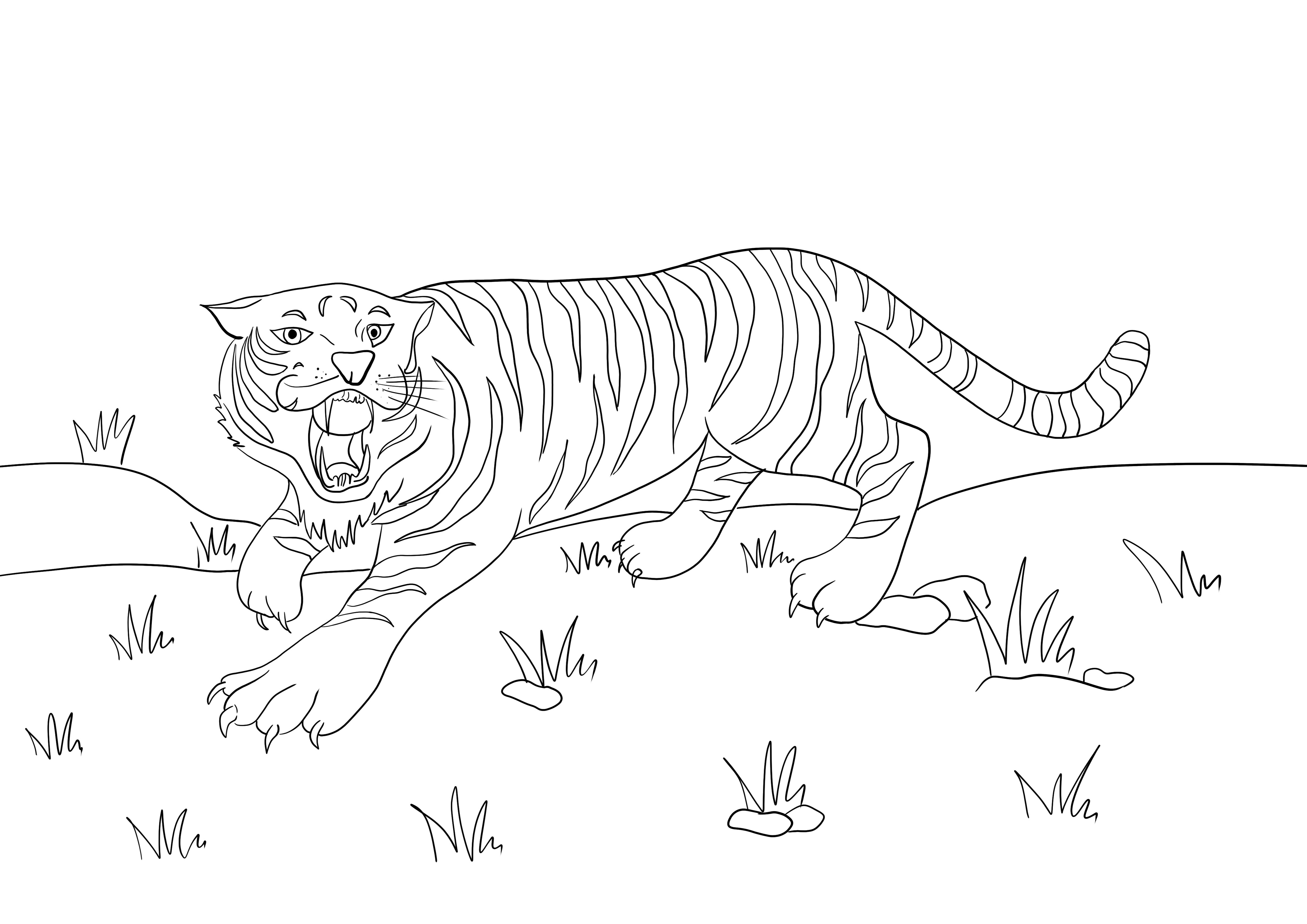 Roaring tiger coloring sheet for free printing