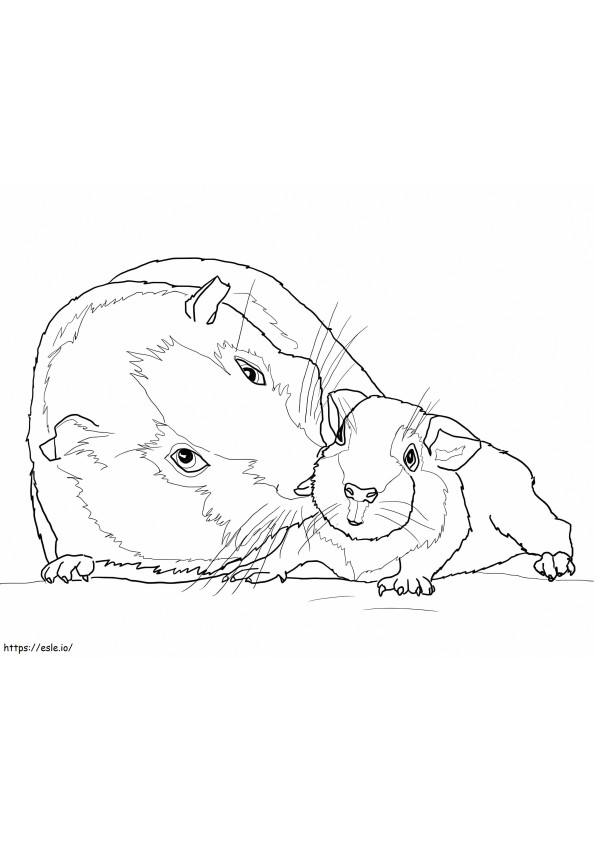 Mother And Baby Guinea Pig coloring page