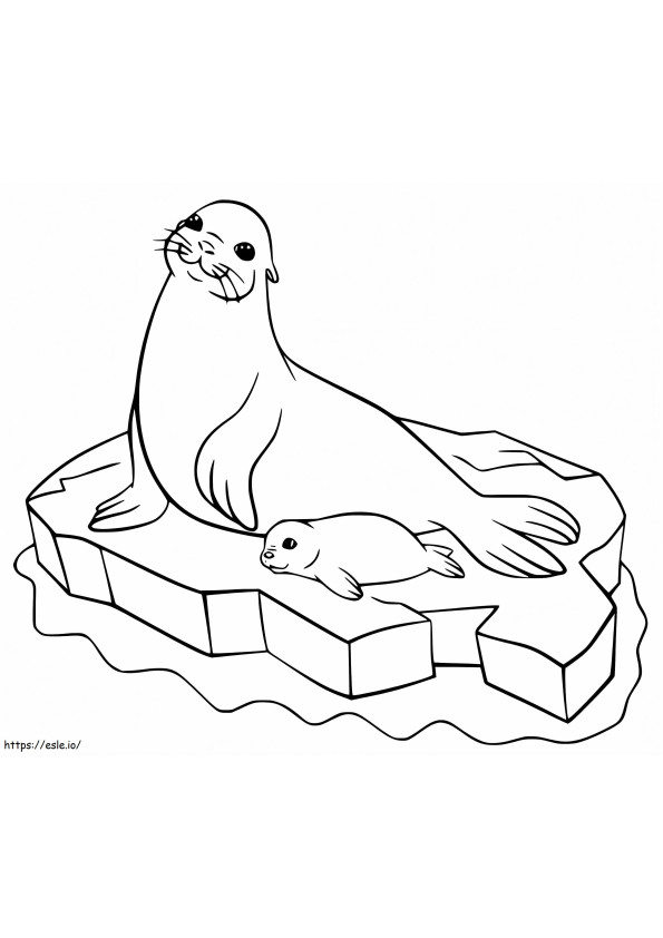 Coloriage Lions de mer sur glace à imprimer dessin