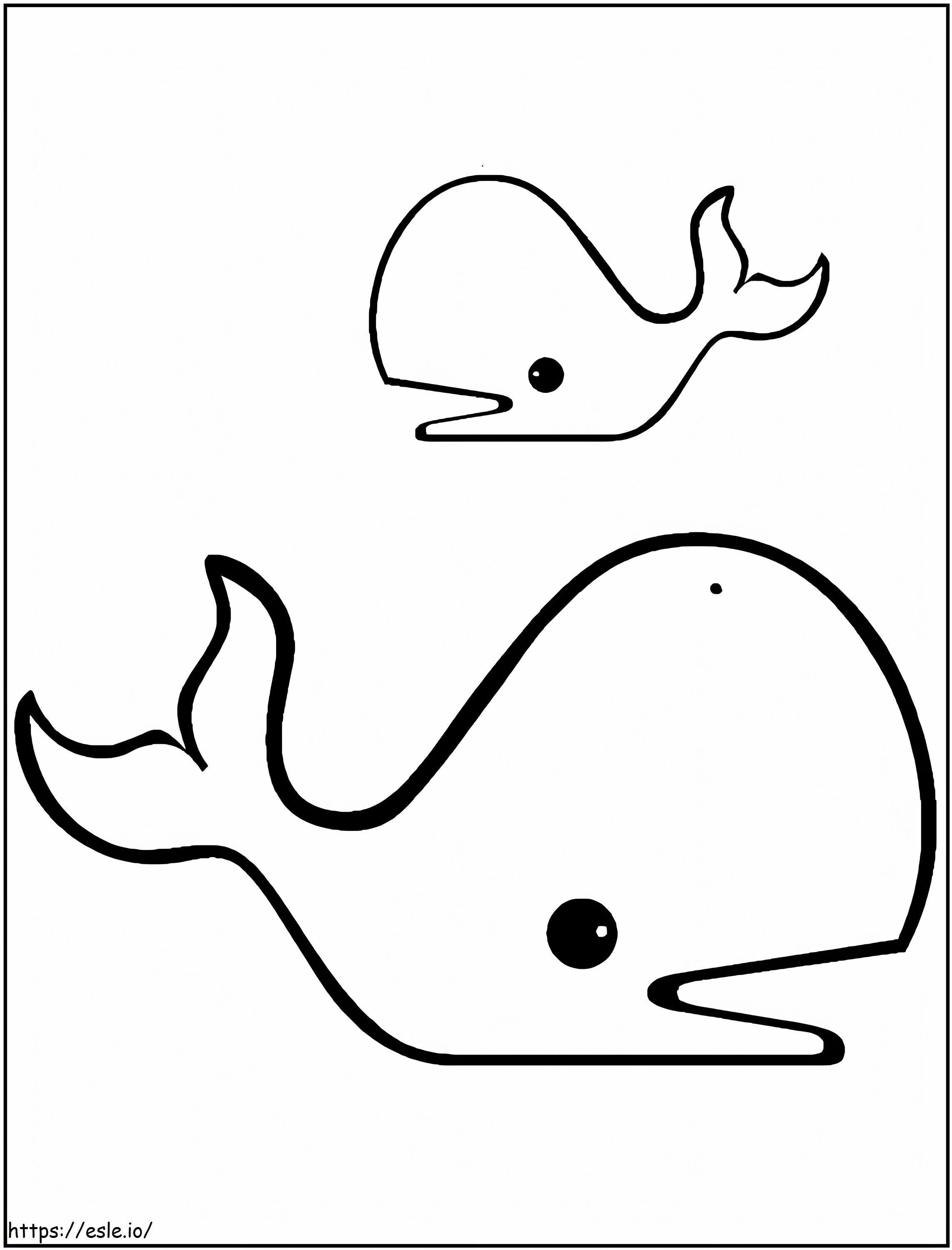 Desenhe duas baleias para colorir
