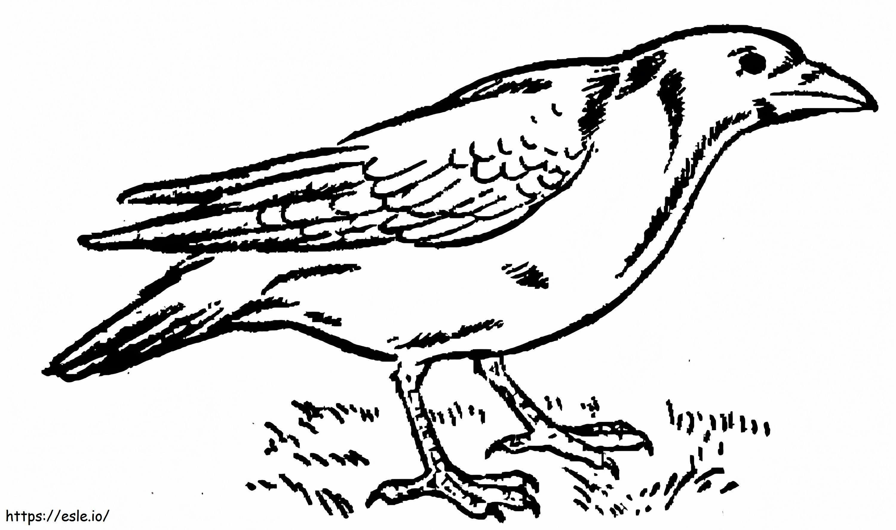 Desen de colorat Corb Uimitor