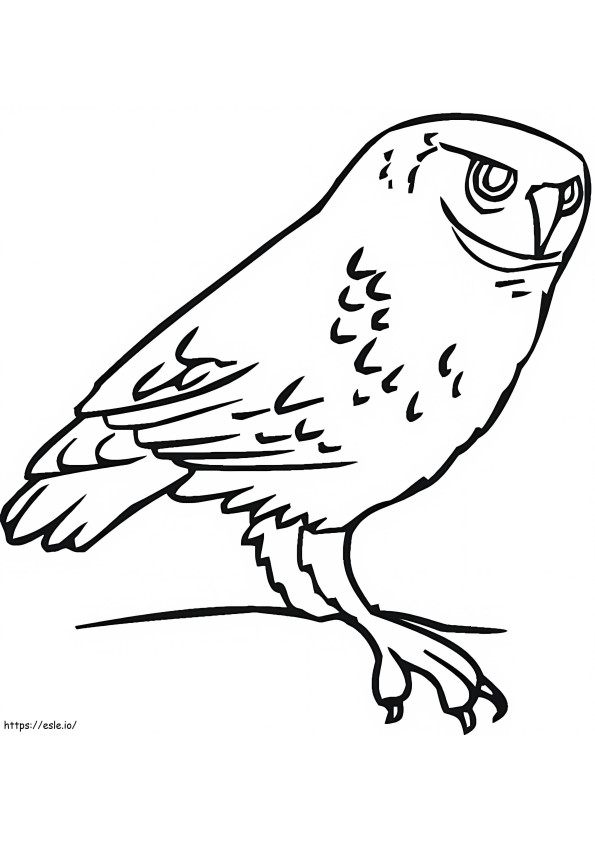 Owl 2 coloring page