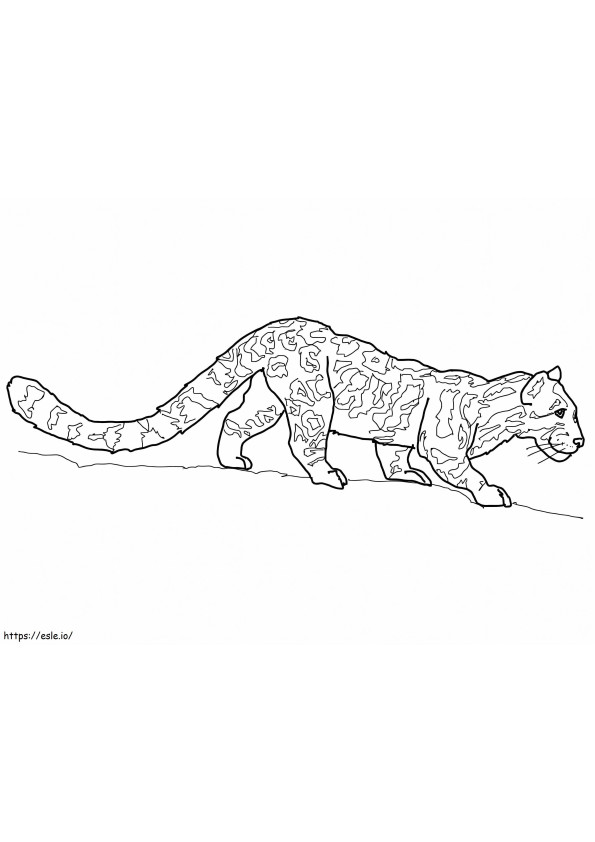Leopardo 8 para colorir