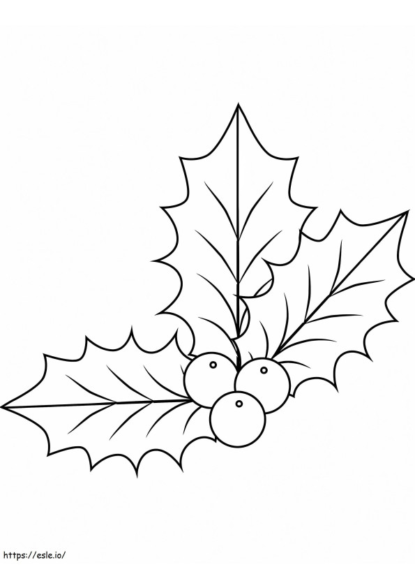 Christmas Holly coloring page