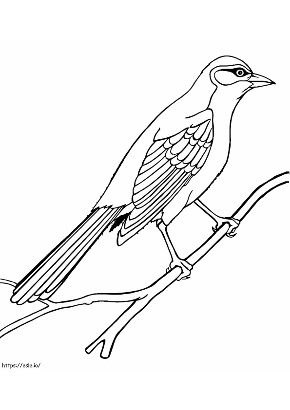 Basic Nightingale coloring page