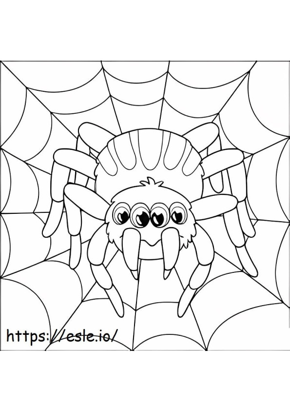 Söpö nelisilmäinen hämähäkki värityskuva