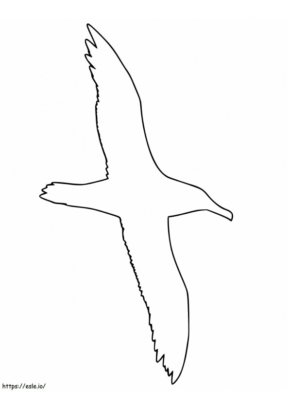 Zarys albatrosa kolorowanka