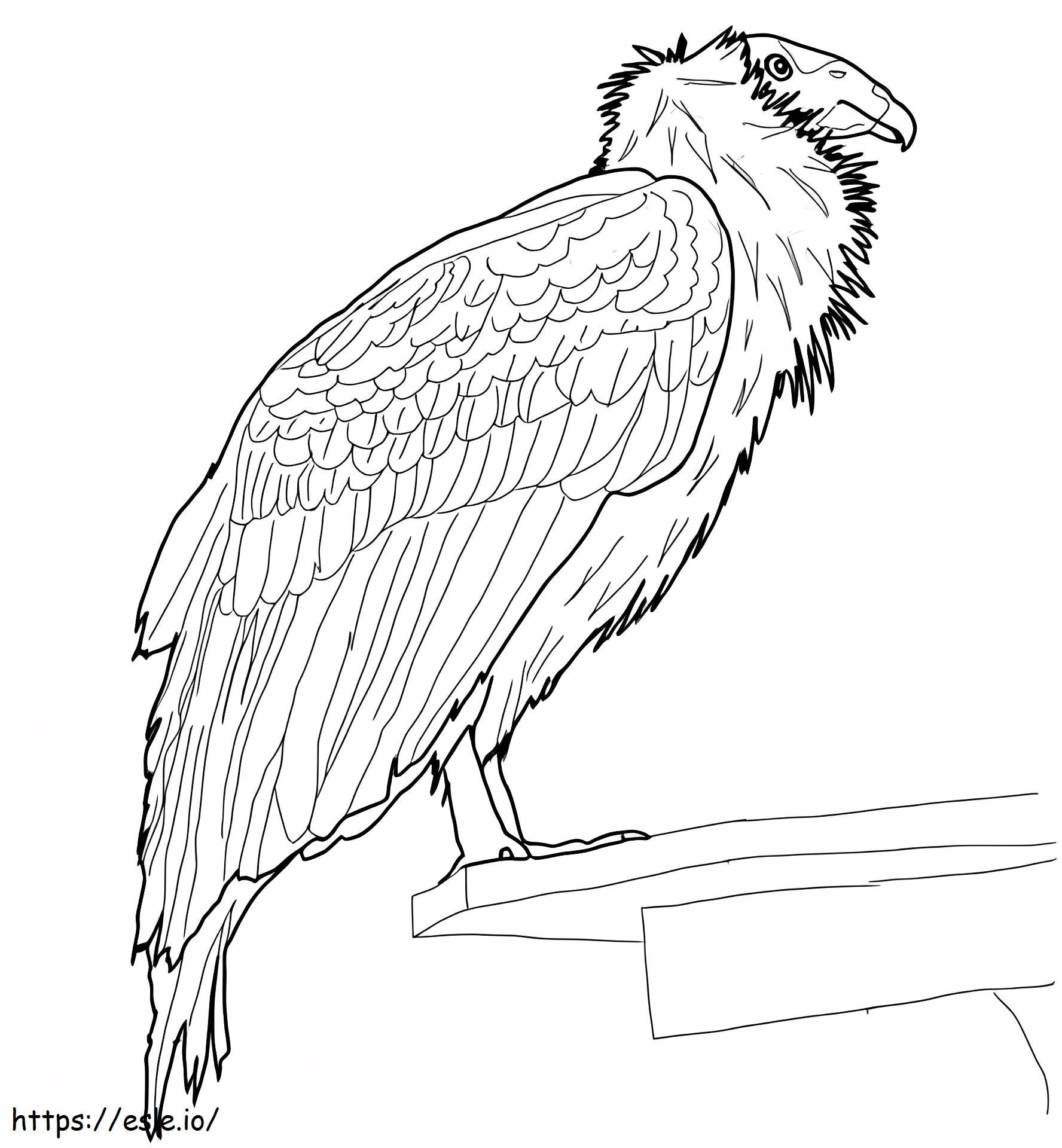 Coloriage Condor de Californie perché à imprimer dessin