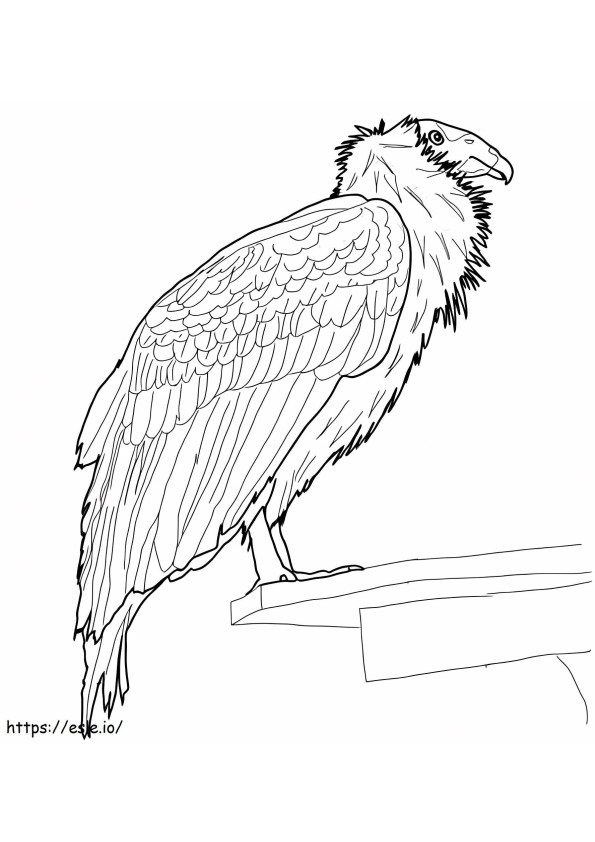 Coloriage Condor de Californie perché à imprimer dessin
