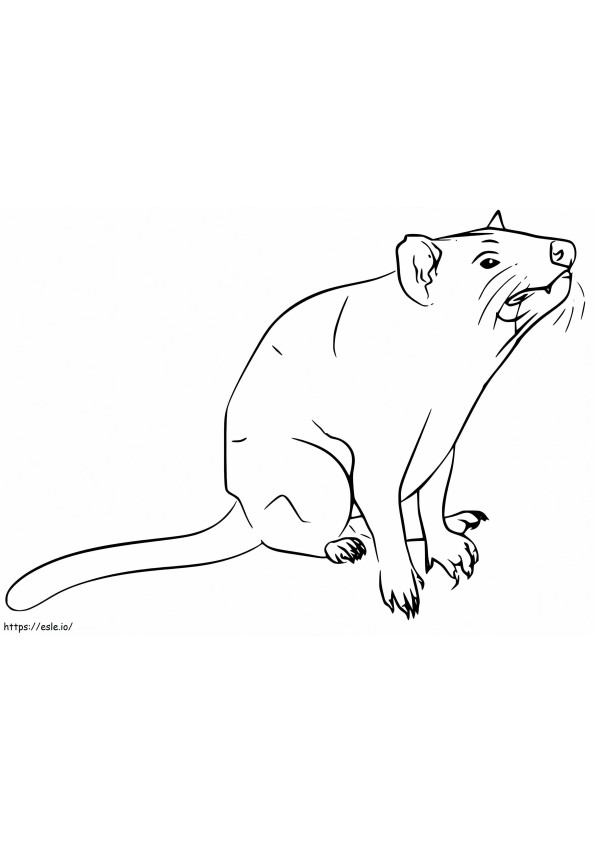 Demonio de Tasmania 2