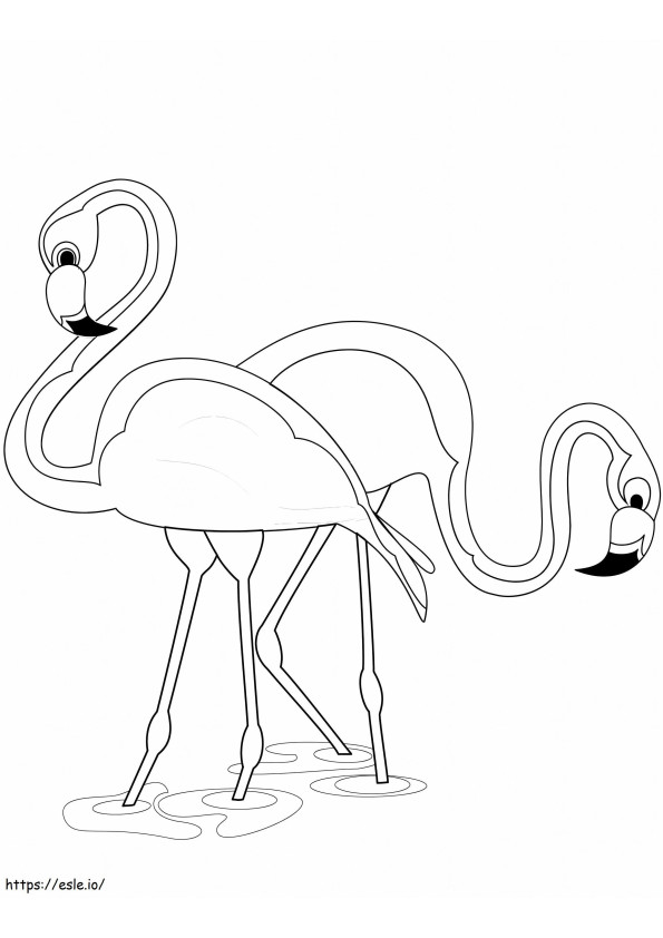 Kaksi flamingoa värityskuva