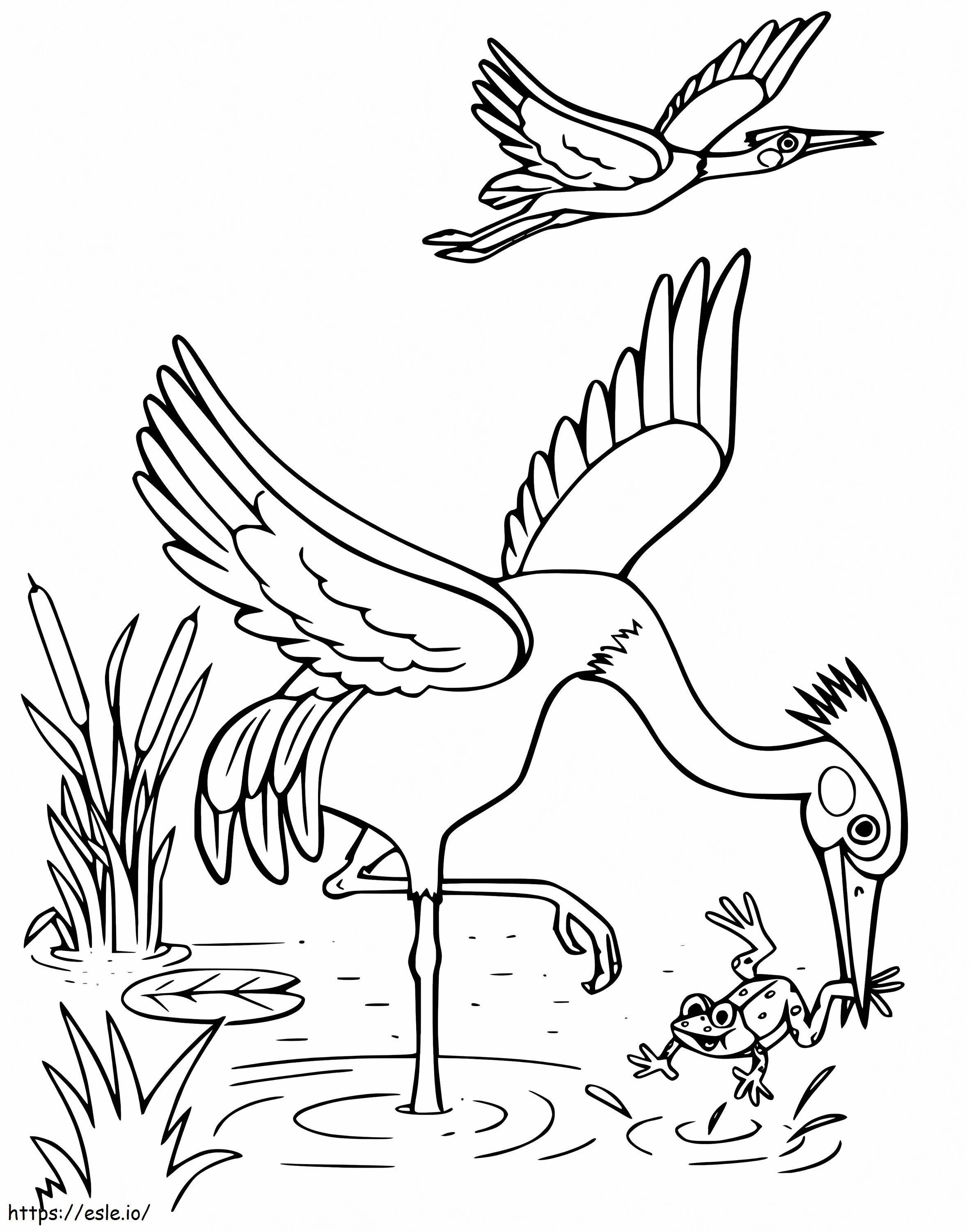 Egrets coloring page