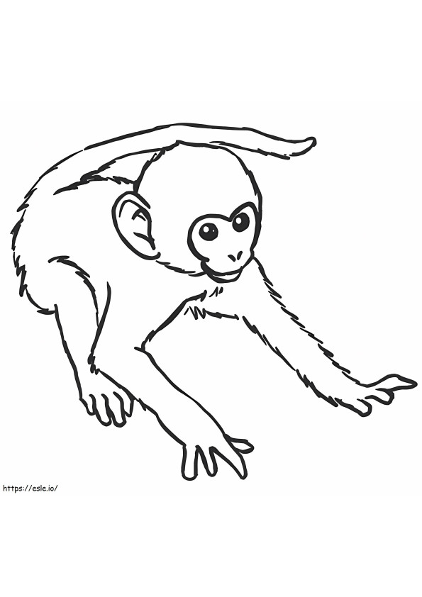 Disegno della scimmia da colorare