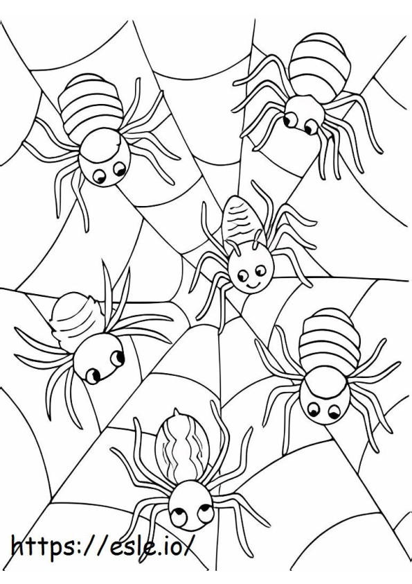 Sześć gniazd pająków kolorowanka