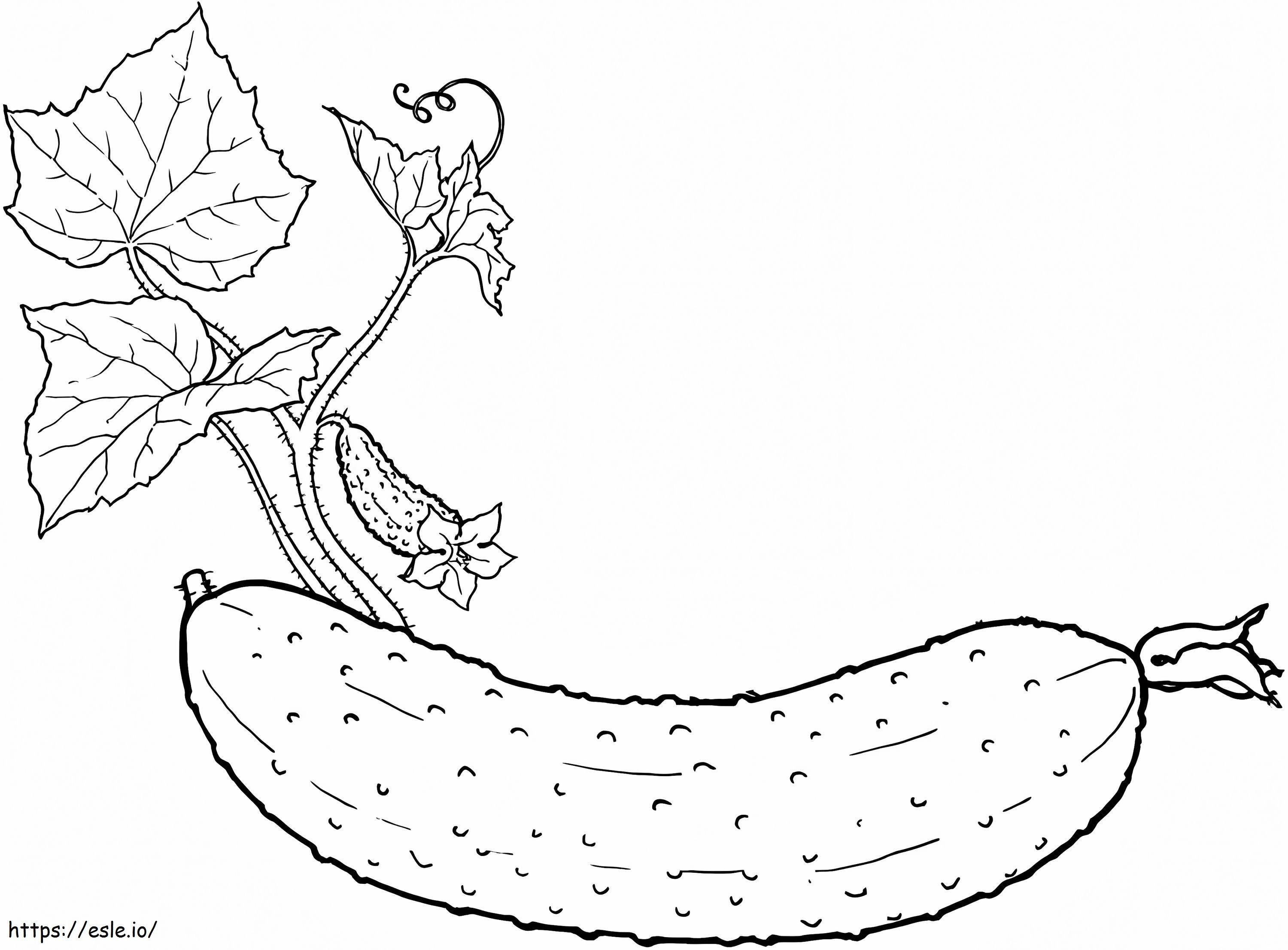 Cucumber With Leaves coloring page