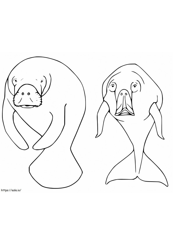 Coloriage Dugong et lamantin à imprimer dessin