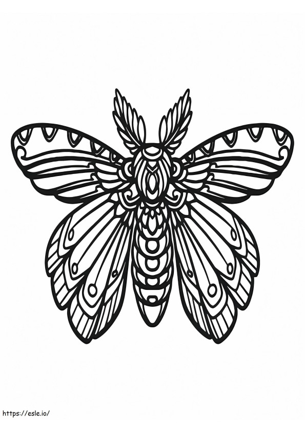 Coloriage Beau papillon 6 à imprimer dessin