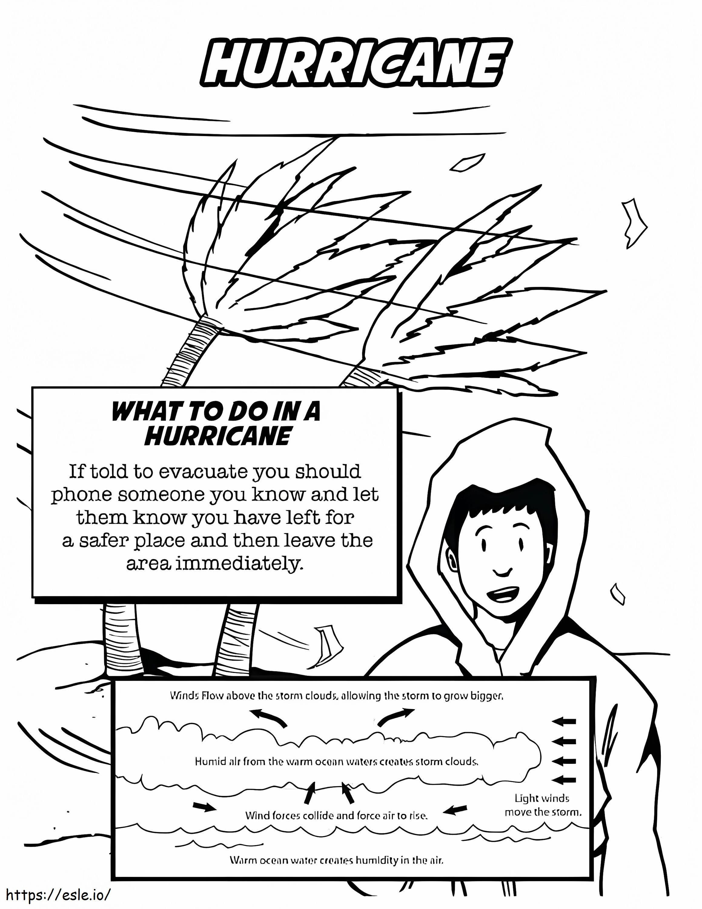 Huricane coloring page