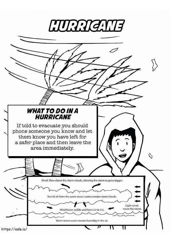 Huricane coloring page
