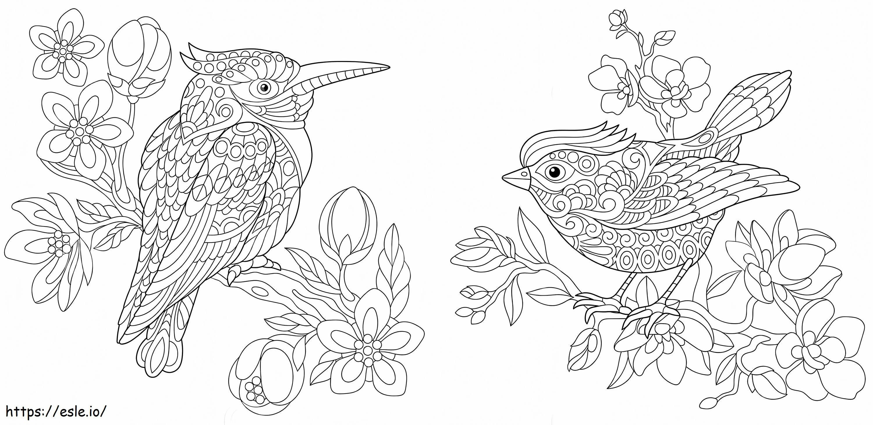 Canary For Adult coloring page