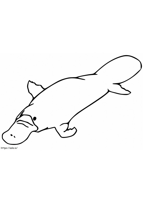 Printable Platypus coloring page