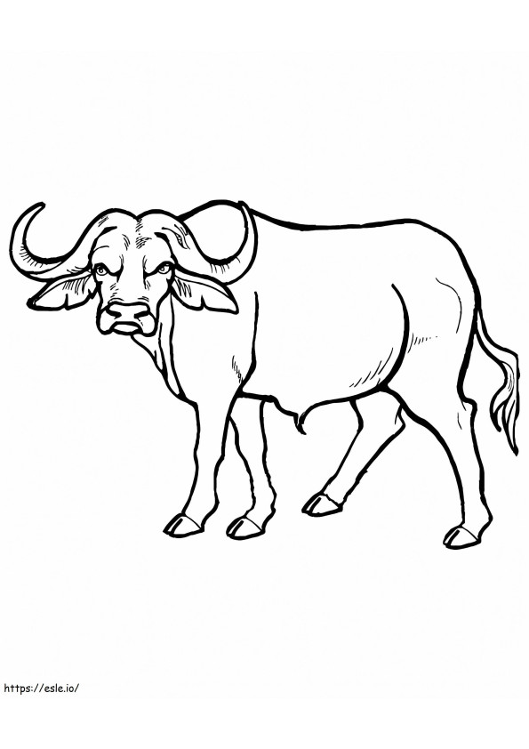 Bom búfalo para colorir