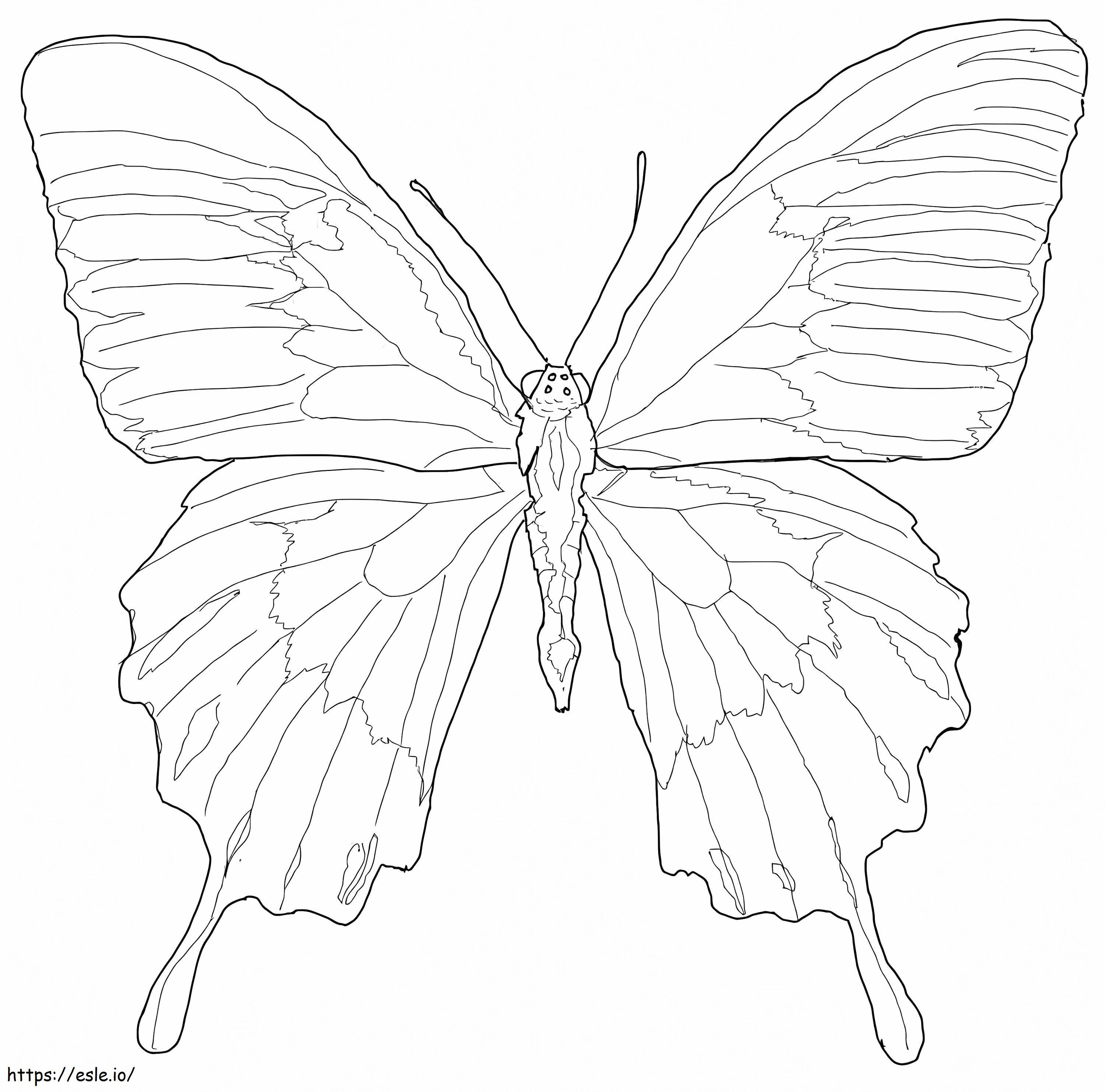 Ulysses vlinder 1 kleurplaat kleurplaat