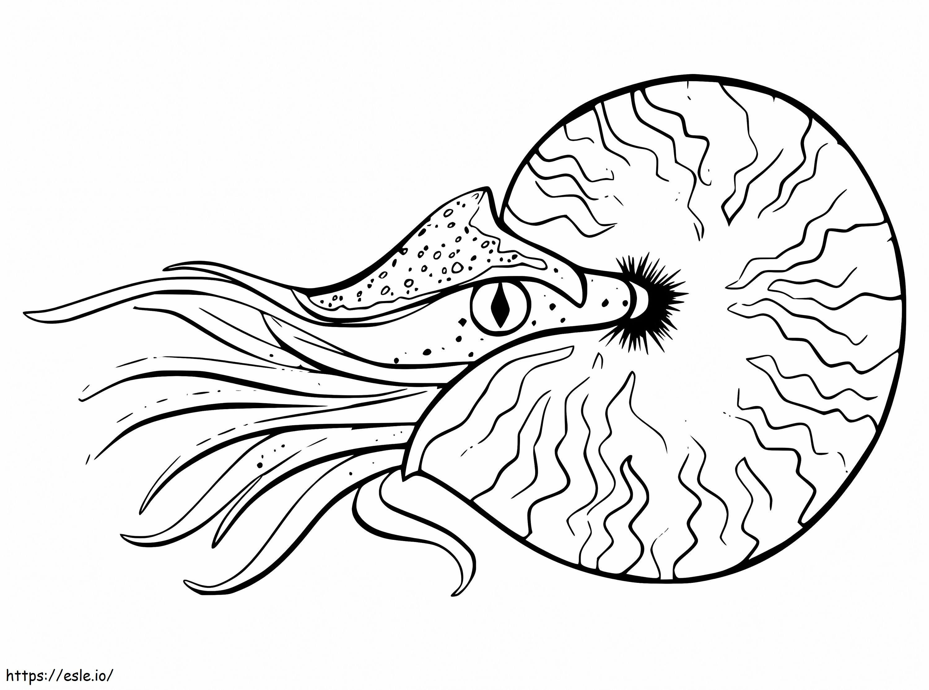 Nautilus yang dapat dicetak Gambar Mewarnai