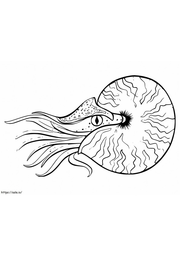 Printable Nautilus coloring page