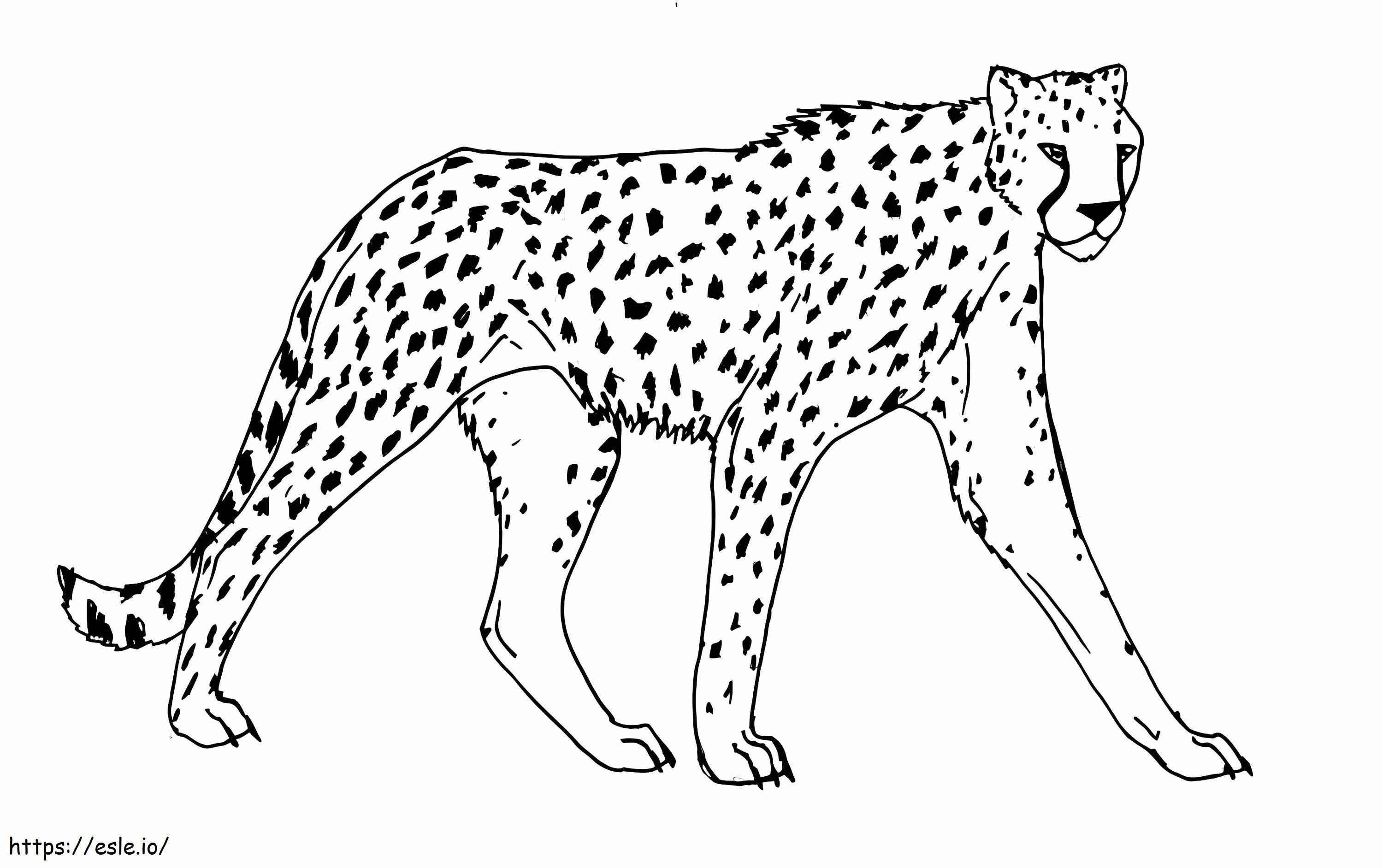 Gepardi Kävely värityskuva