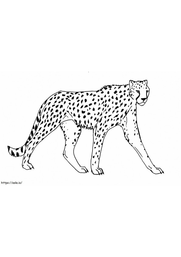 Cheetah wandelen kleurplaat
