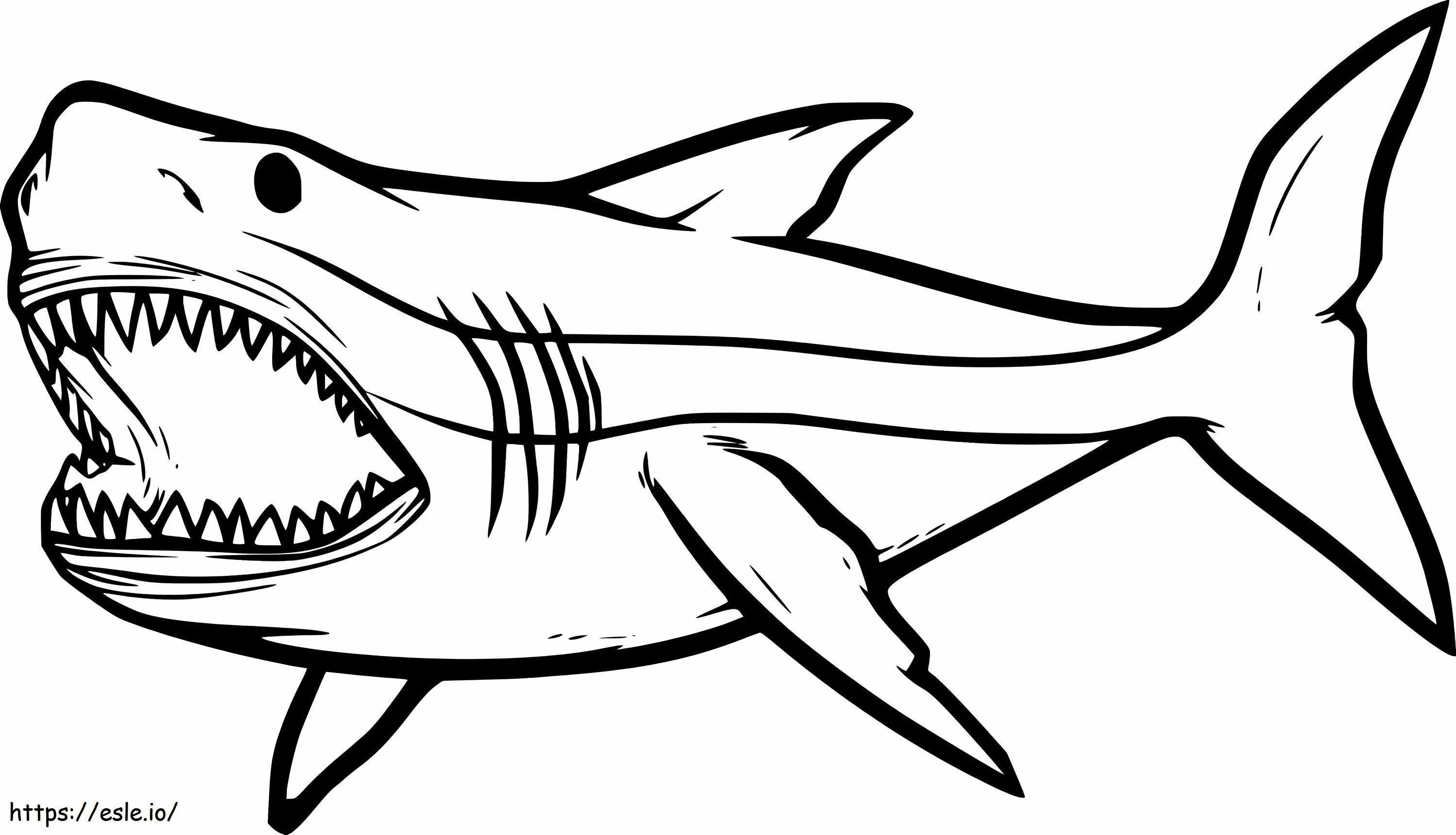 Dibujo De Tiburón para colorear