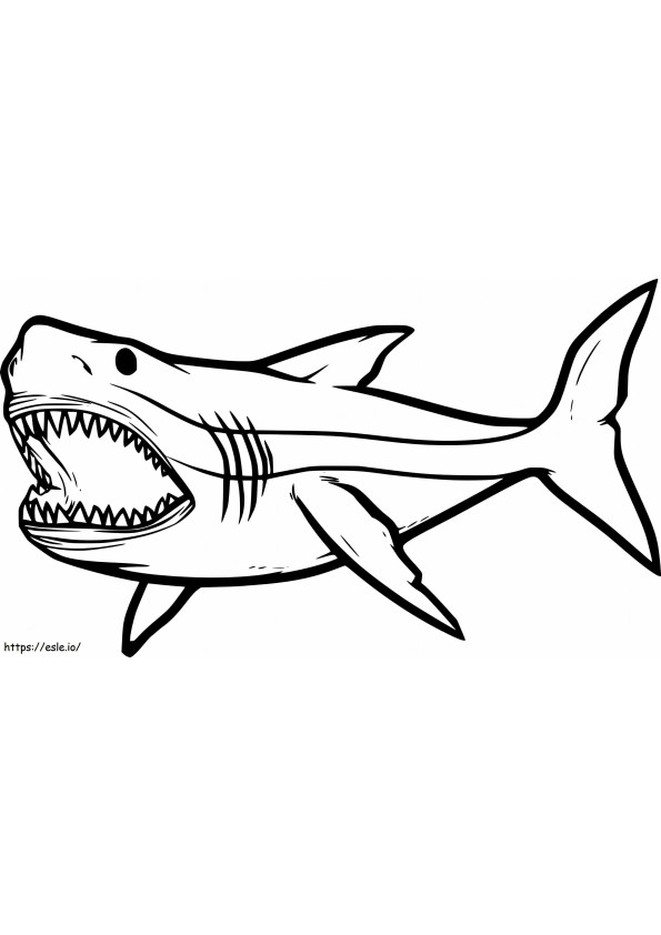 Disegno dello squalo da colorare