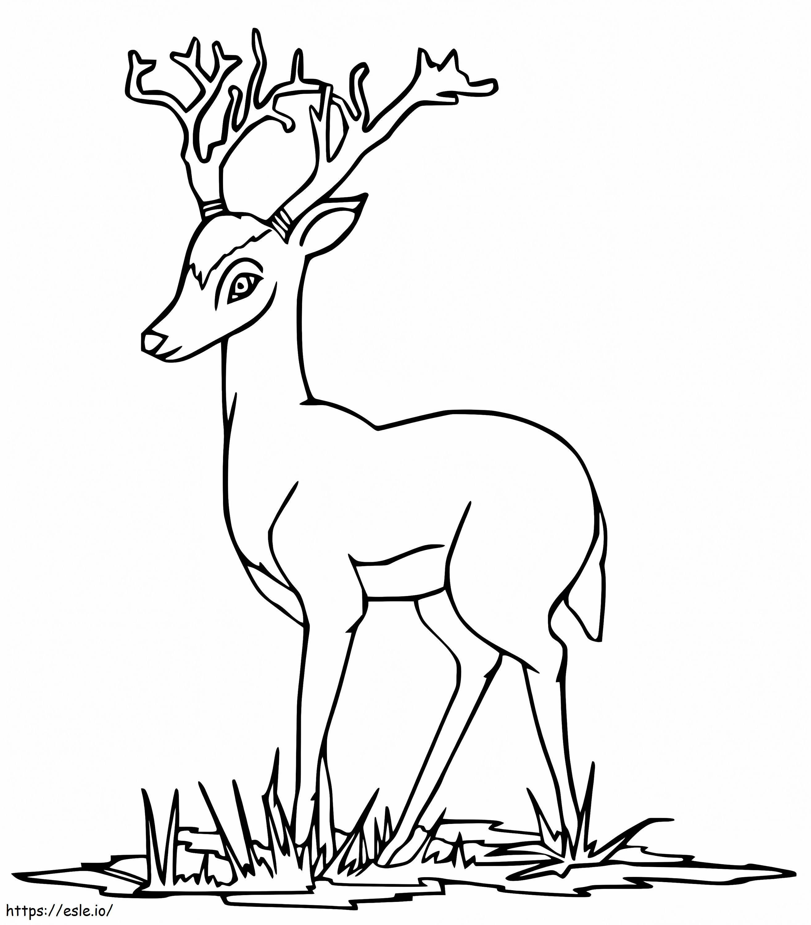 Coloriage Cerf rouge de dessin animé à imprimer dessin