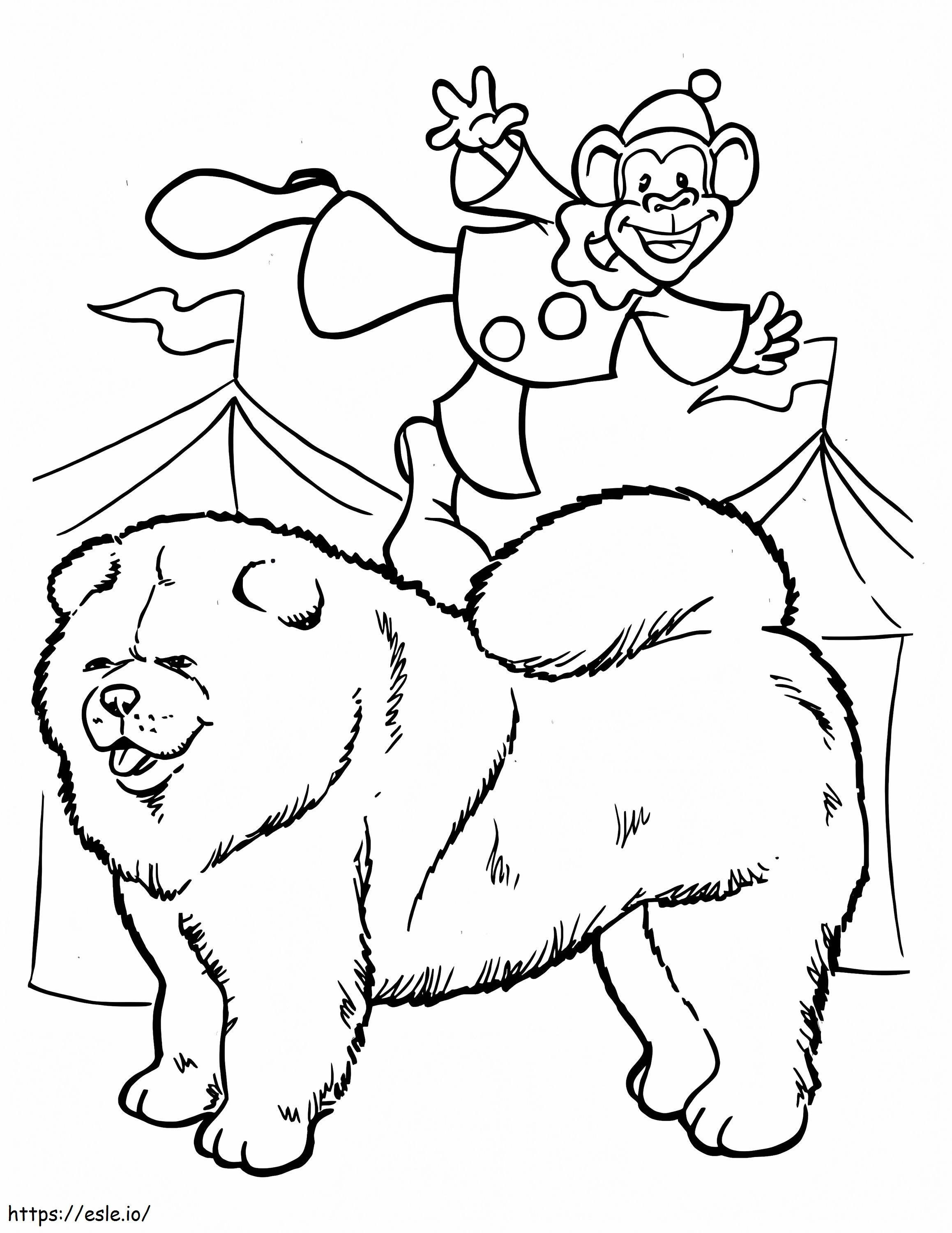 Samoyede And Clown Monkey coloring page