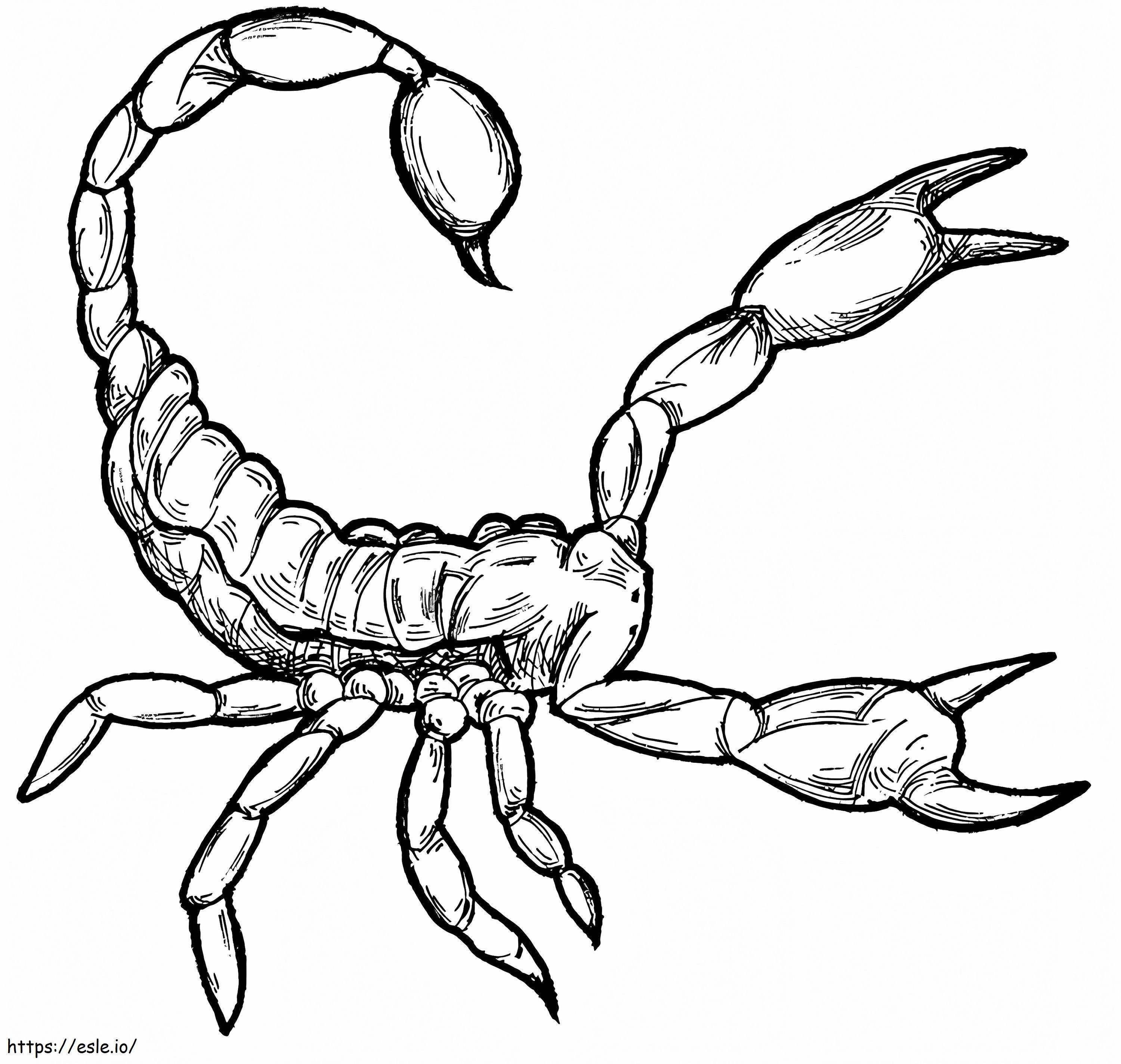 Coloriage Scorpion 1 à imprimer dessin