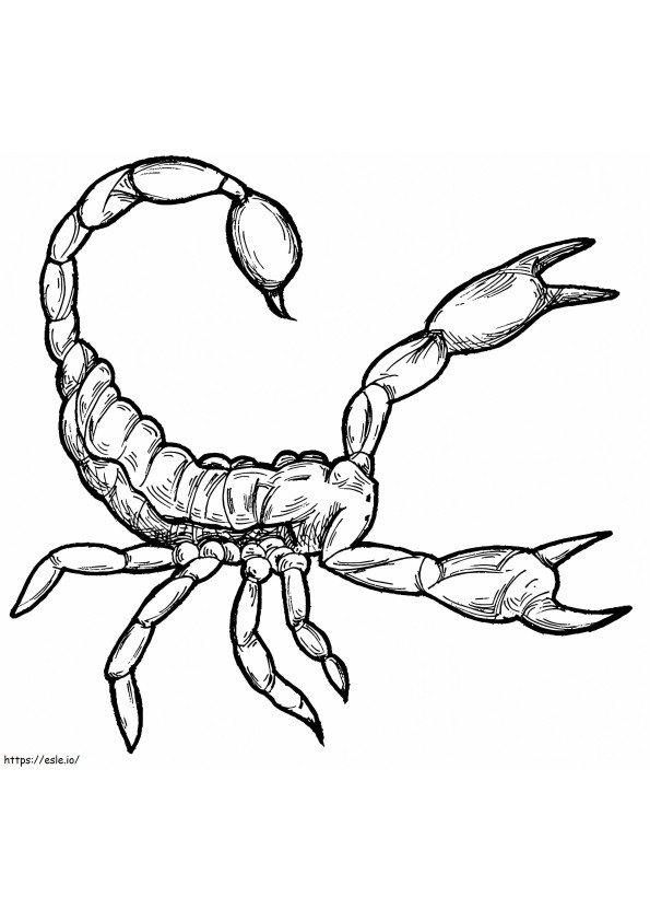 Coloriage Scorpion 1 à imprimer dessin