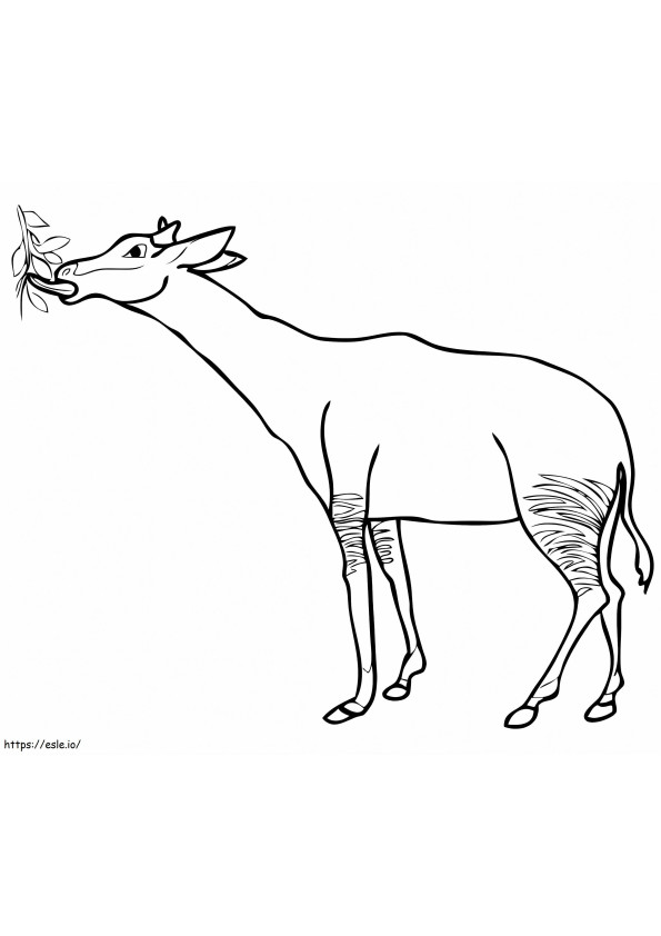 Okapi etetés kifestő