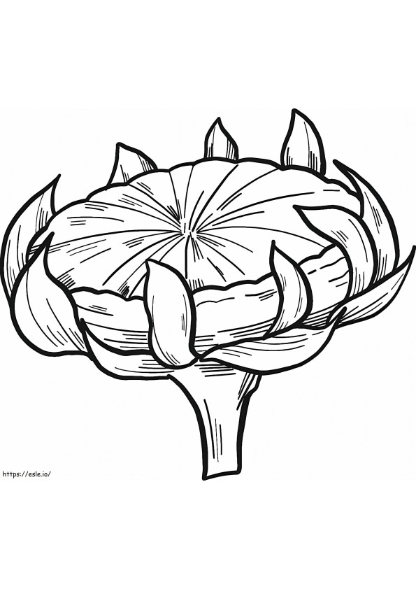 Free Sunflower To Print coloring page