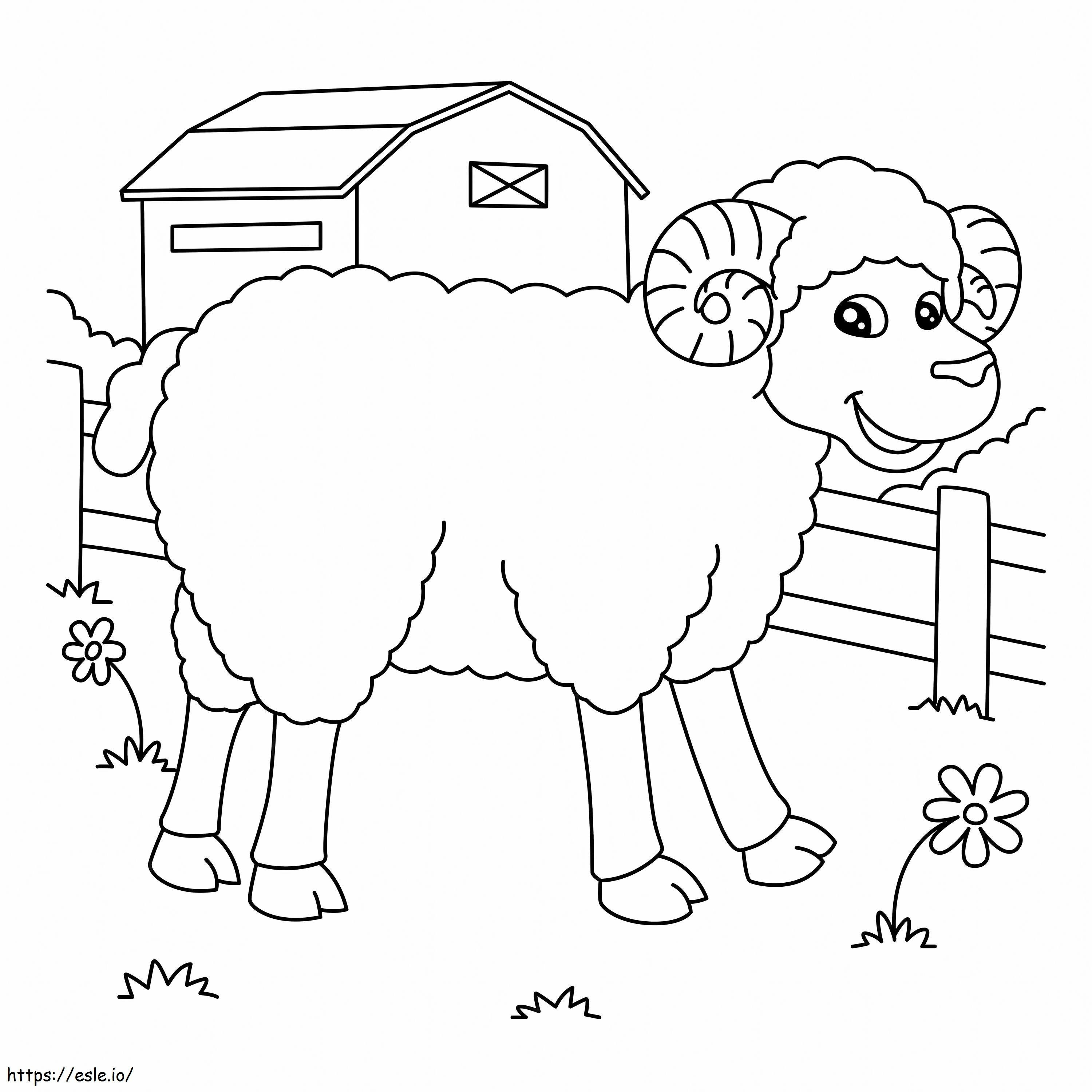 Hauskoja lampaita värityskuva