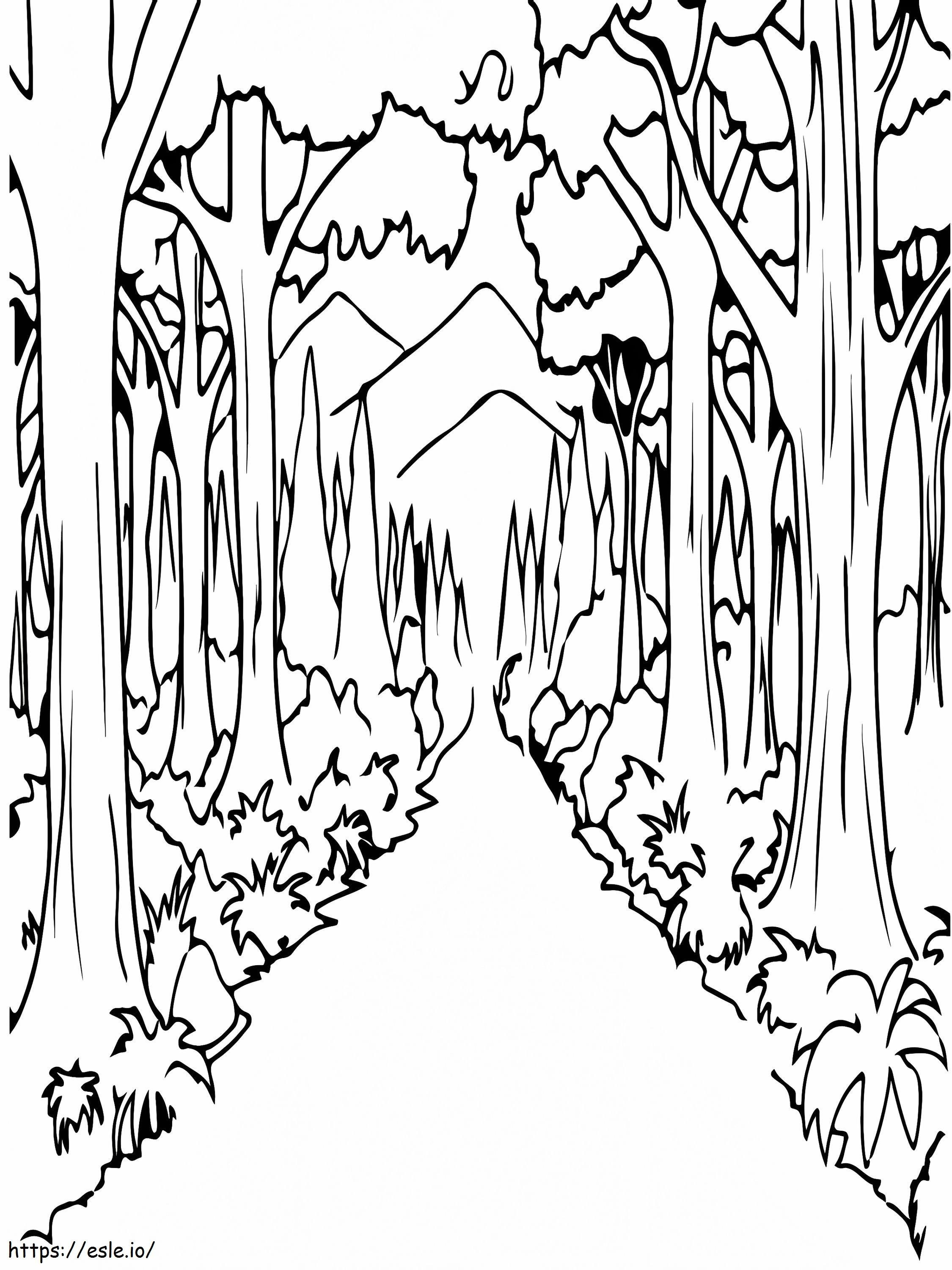 Camino recto del bosque para colorear