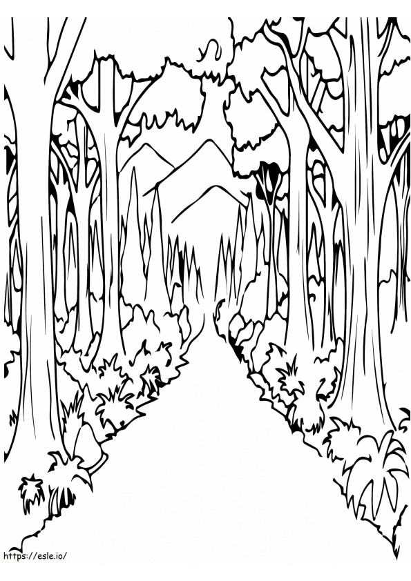 Camino recto del bosque para colorear