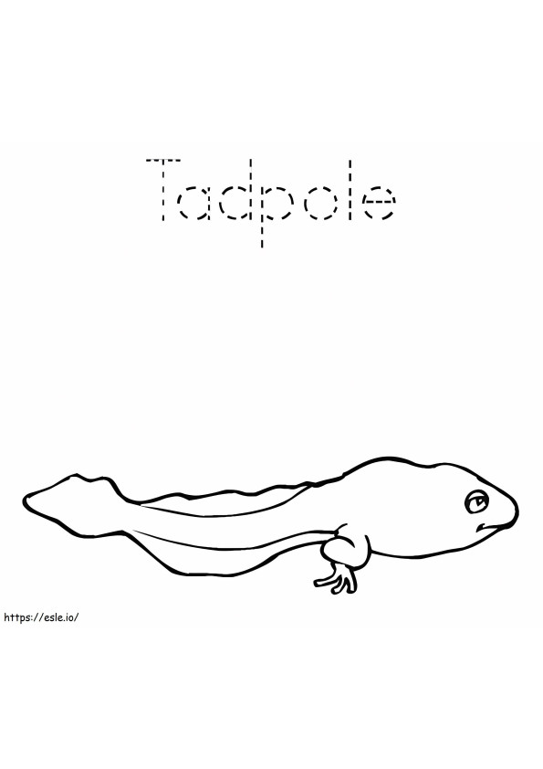 1559790806 Tadpole A4 coloring page