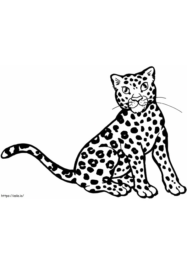 lindo ocelote