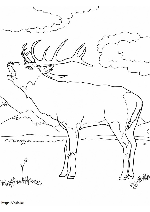 Normal Red Deer coloring page